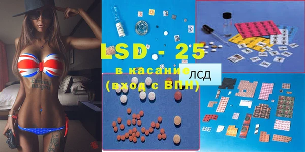 ГАЛЛЮЦИНОГЕННЫЕ ГРИБЫ Волосово
